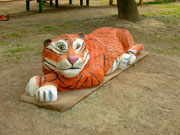 tigre