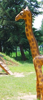 chi siamo04